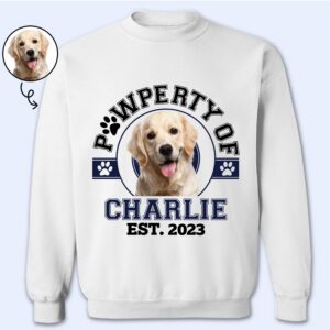 Vacation Vibe Sweatshirt Custom Photo Pawperty Of - Gift For Dog Lovers, Cat Lovers - Personalized Sweatshirt Set of 10