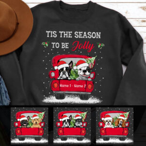 Vacation Vibe Sweatshirt Personalize Dog Red Truck Christmas Sweatshirt NB242 95O36